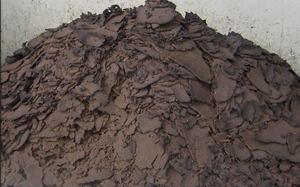 Sludge-reduction